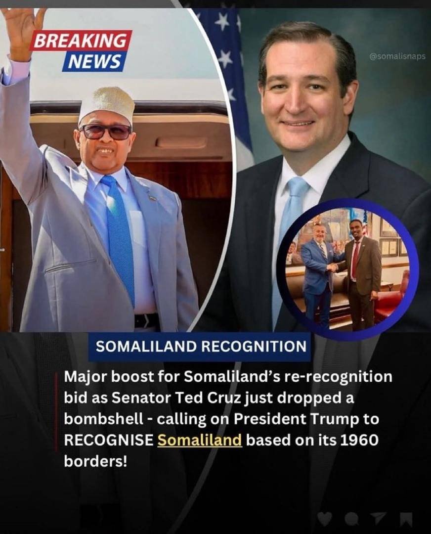 Thank You, Senator Ted Cruz